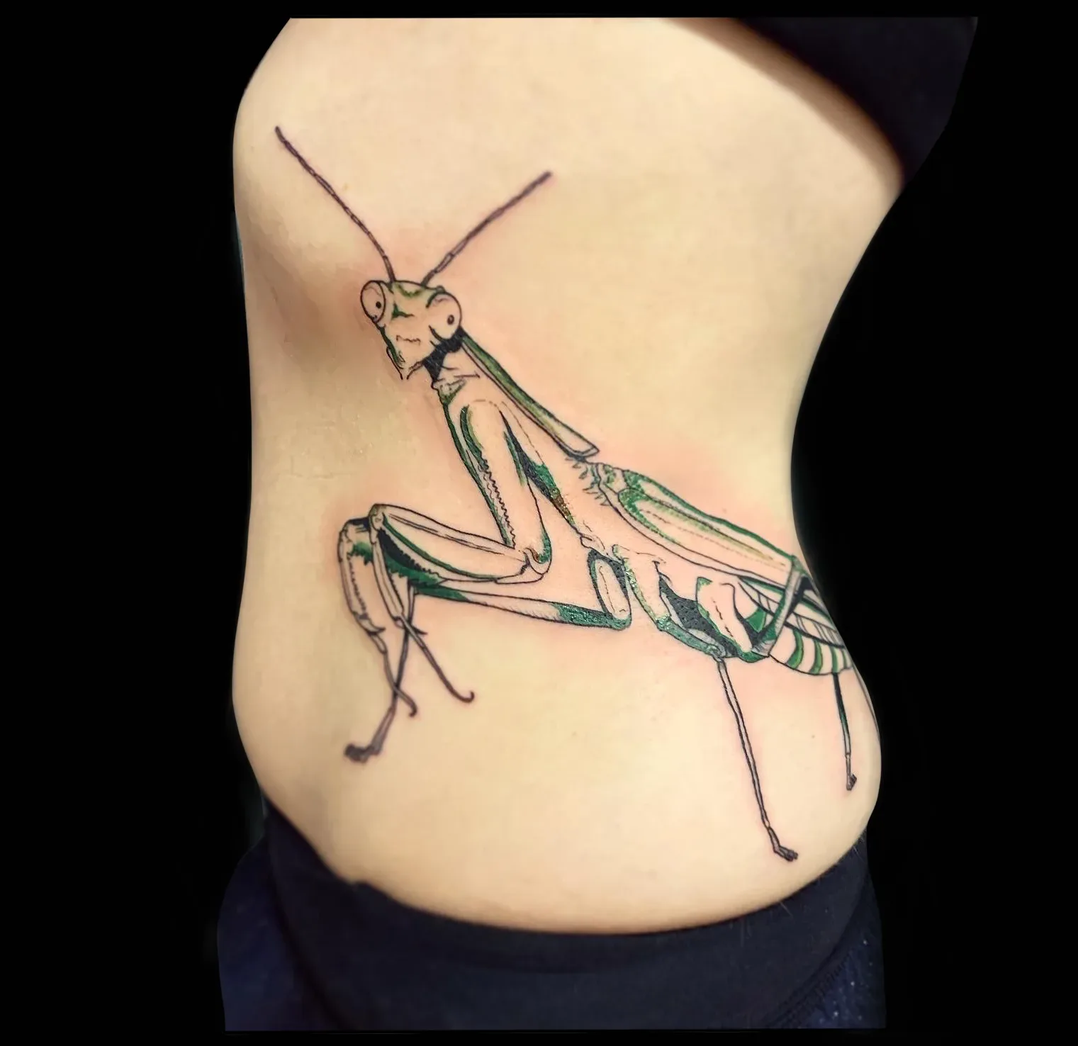 Tatouage fine line mante religieuse sur côtes — Annahata Tattoo