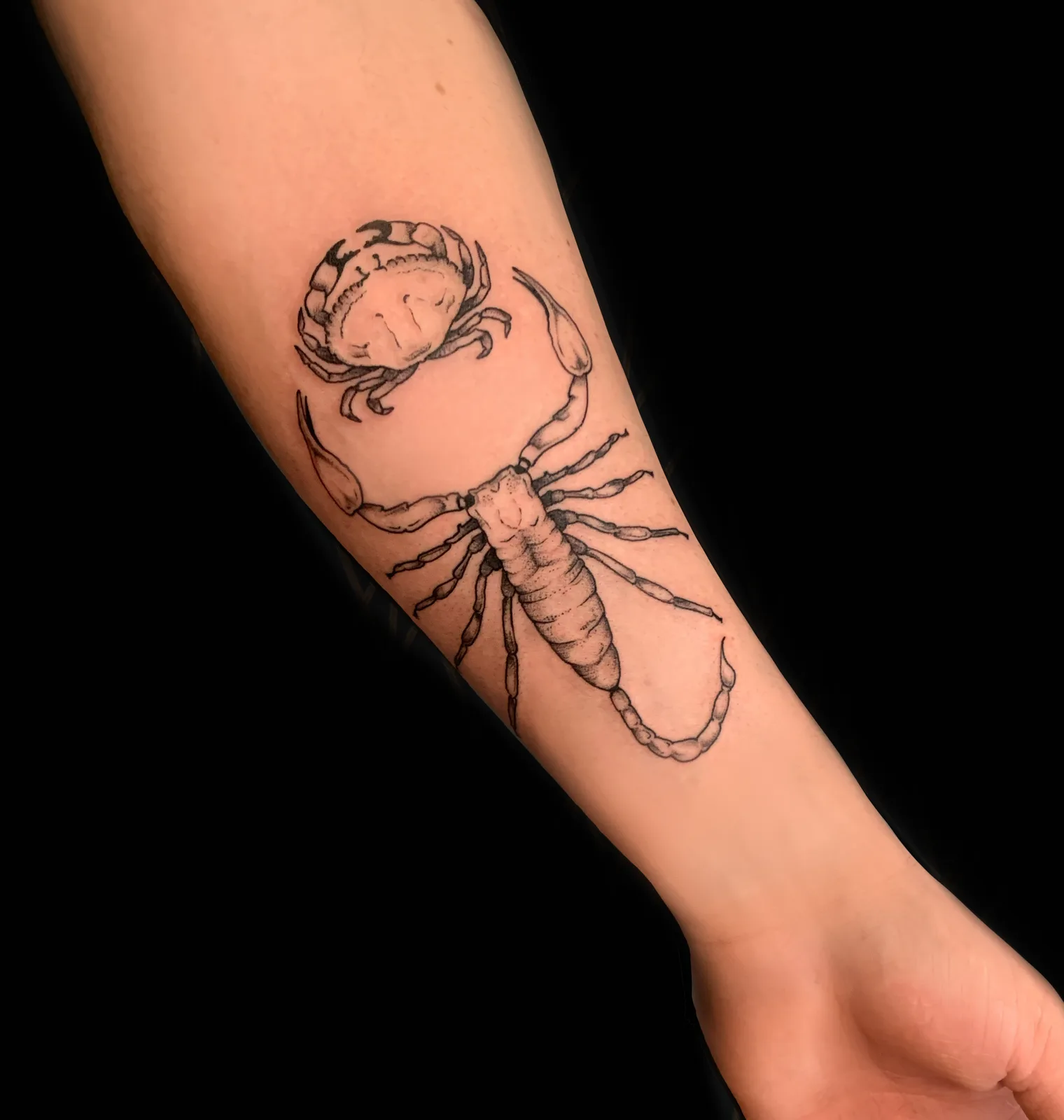 Tatouage faune scorpion et crabe fine line — tatoueuse près de Nantes